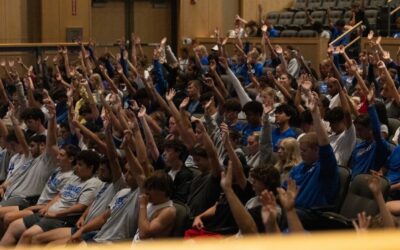 Why choose professional development for lasting growth